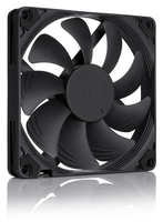 Noctua 1