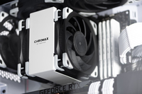 Noctua 3