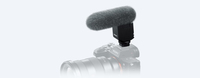 Sony 10