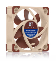 Noctua 1