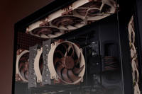Noctua 3
