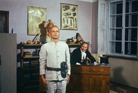 Werner Herzog - 80th Anniversa 4