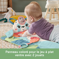Fisher-price 2