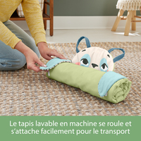 Fisher-price 3