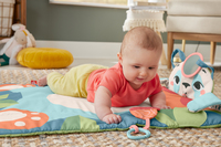 Fisher-price 8