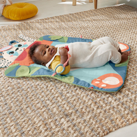 Fisher-price 18