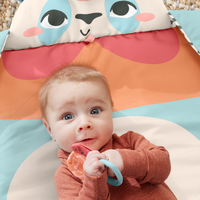 Fisher-price 19