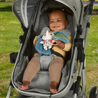 Fisher-price 11