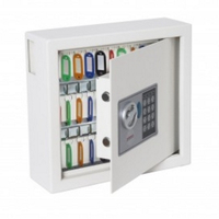 Phoenix Safe 1