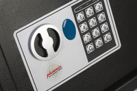 Phoenix Safe 4