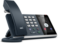 T4 Series & Dect Phone 9