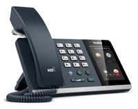 T4 Series & Dect Phone 10