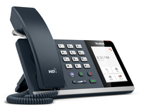 T4 Series & Dect Phone 11