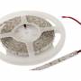 Synergy 21 Led - Flex Strip rot DC12V 24W IP20