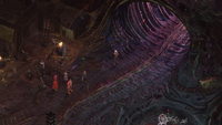 Gioco Di Ruolo (rpg) 10