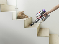 Dyson 2
