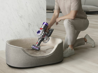 Dyson 25