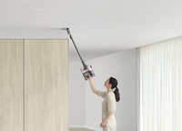 Dyson 10
