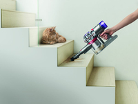 Dyson 12