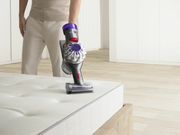 Dyson 22