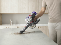 Dyson 25