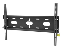 Iiyama 1