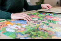 Jumbo Spiele 5