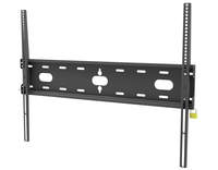 Iiyama 1