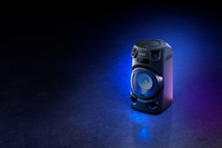 Sony 12