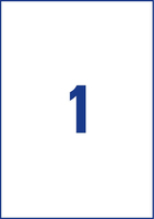 Etichette Bianche X Ink-jet Da 25ff 5