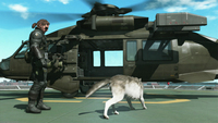 Azione Avventura 15