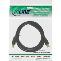 Inline 1
