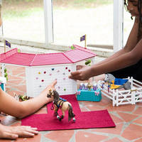 Schleich 26