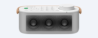Sony 1