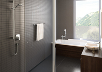 Hansgrohe 1
