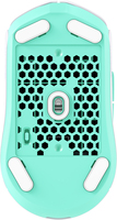 Hp Consumer. 12