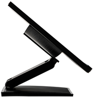 Iiyama 2