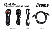Iiyama 10