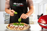 Ariete 9
