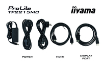 Iiyama 2