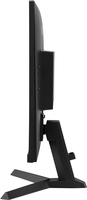 Iiyama 1