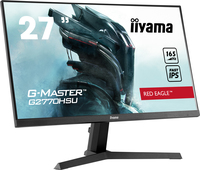 Iiyama 6