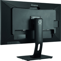 Iiyama 1