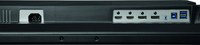 Iiyama 2