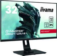 Iiyama 5