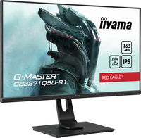 Iiyama 6