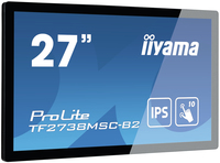 Iiyama 1