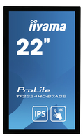 Iiyama 2