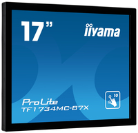 Iiyama 1