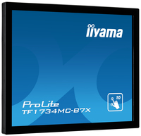 Iiyama 2